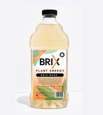 Brix Rush Sugar Free