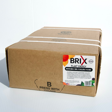Brix White Bag in a box