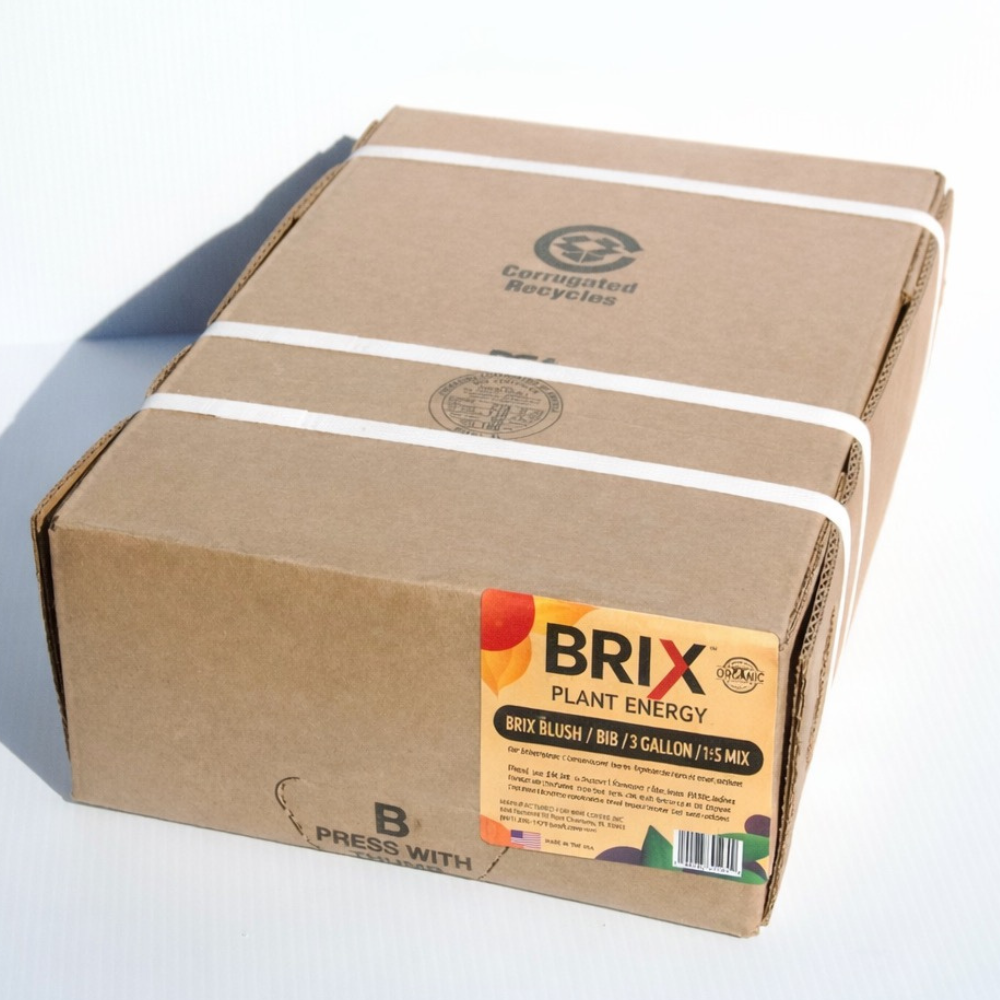 Brix Rush Bag in a Box