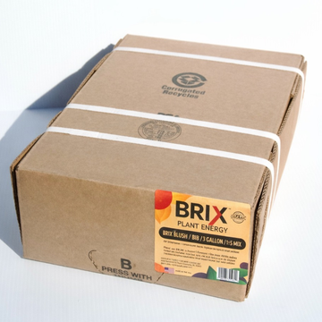 Brix Rush Bag in a Box