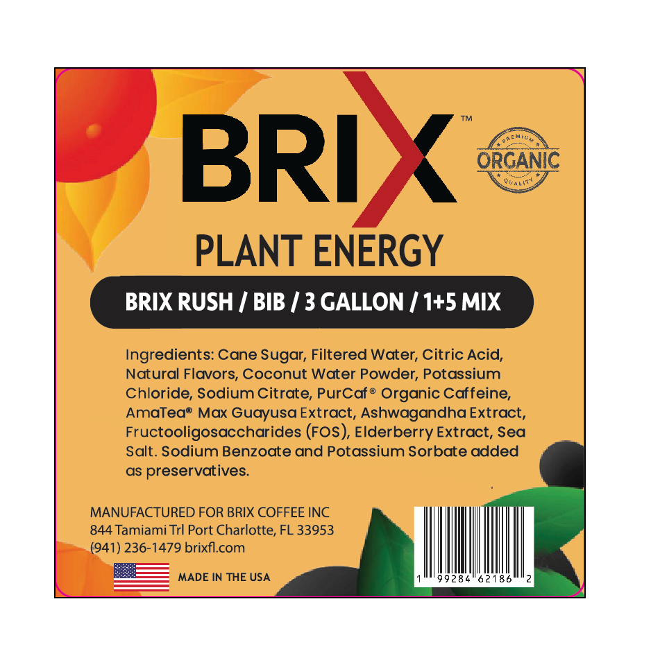 Brix Rush Bag in a Box